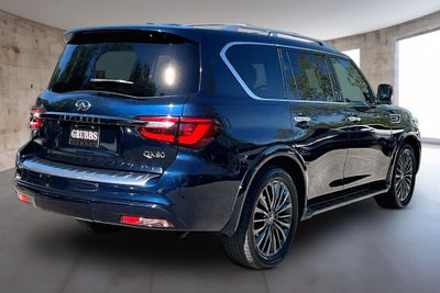 2024 INFINITI QX80 Sensory